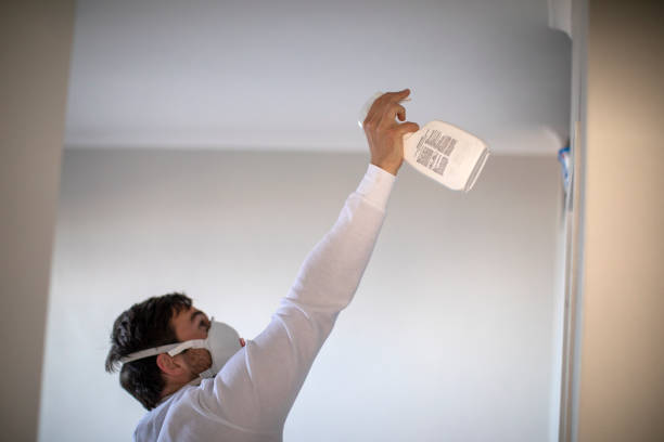 Best Mold Removal Process  in Clinton, MI