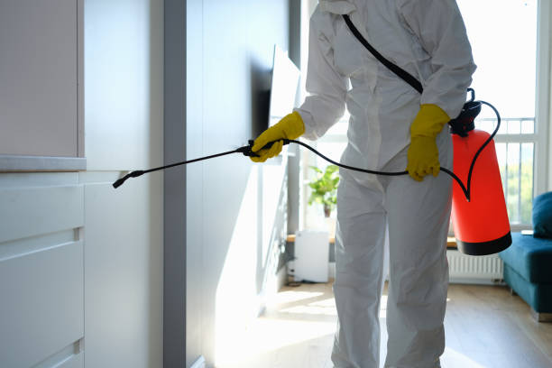 Professional Mold Removal in Clinton, MI