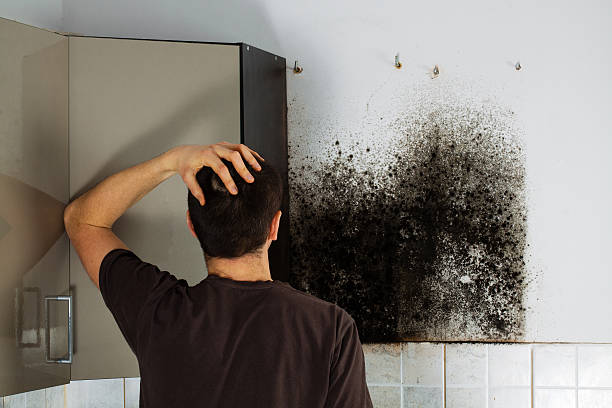 Water Damage Restoration in Clinton, MI